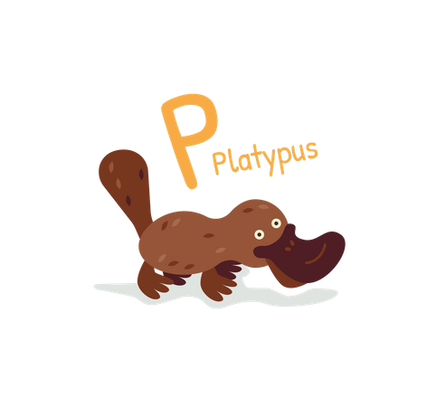 Platypus  Illustration