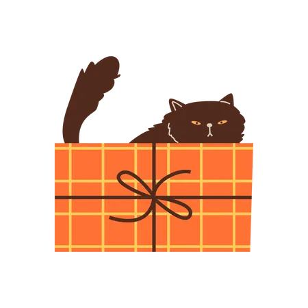 Playful cat in a cardboard box  Illustration