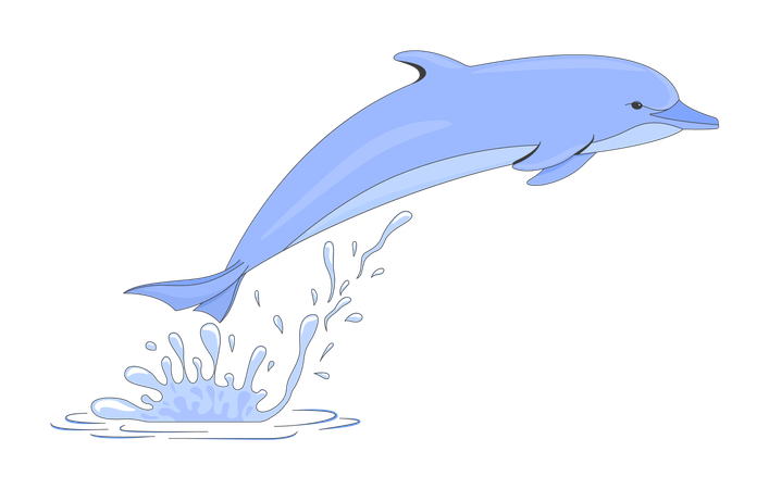Playful dolphin jumping from water splash  Illustration