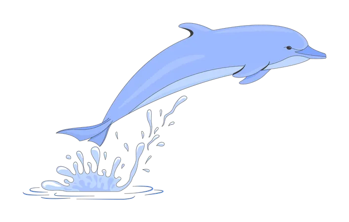 Playful dolphin jumping from water splash  Illustration