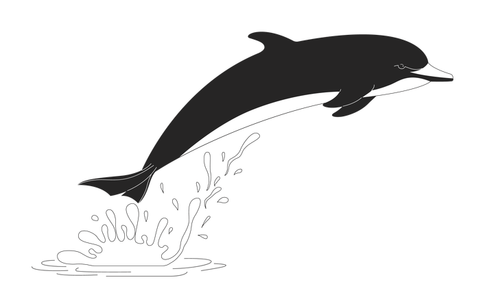 Playful dolphin jumping from water splash  Illustration