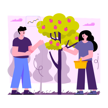 Pluck Fruit  Illustration