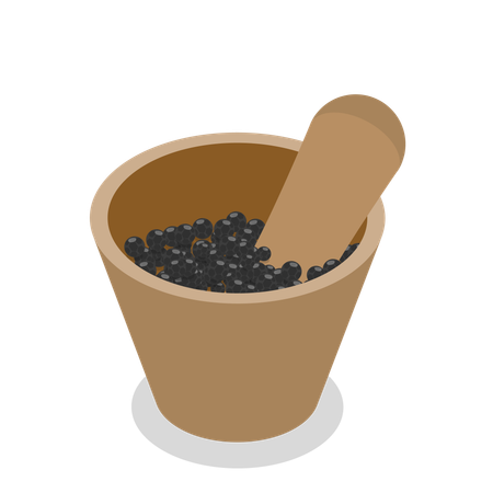 Poivre noir  Illustration
