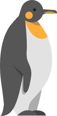 Polar arctic penguin  Illustration