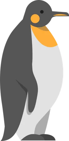 Polarer arktischer Pinguin  Illustration