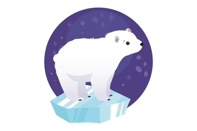 Polar Bear  Illustration