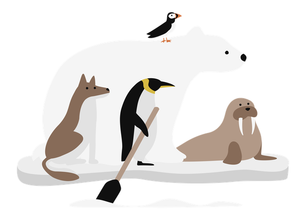 Polar Bear and Friends Standing on Ice Floe  Illustration