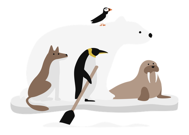 Polar Bear and Friends Standing on Ice Floe  일러스트레이션