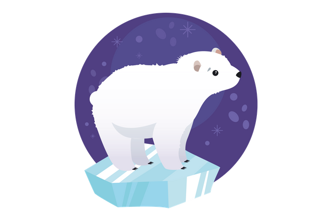 Polar Bear  Illustration