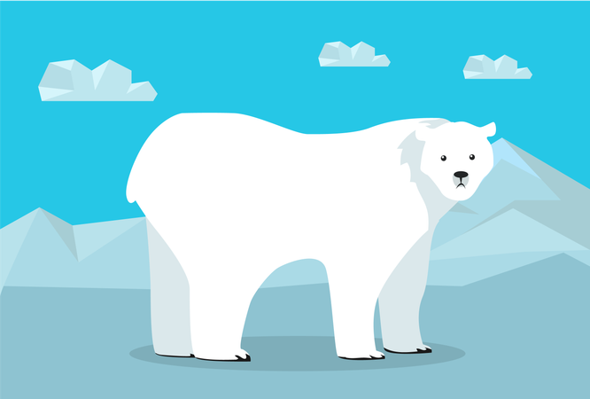 Polar Bear  Illustration