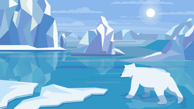 Polar bear in Antarctic landscape  Illustration