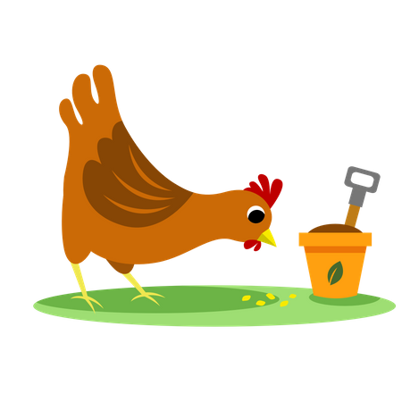 Pollo  Ilustración