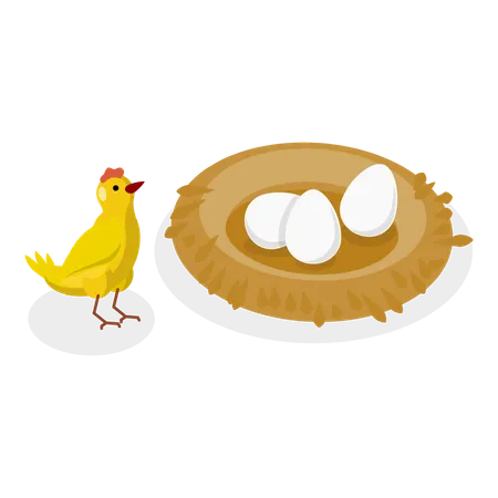 Pollo deambulando cerca del nido para proteger los huevos de los enemigos  Ilustración