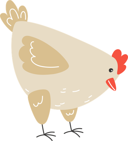 Pollo picoteando semillas  Ilustración