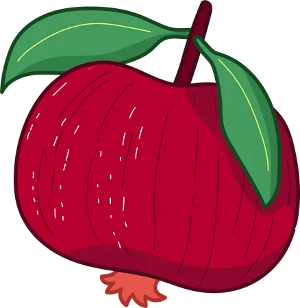 This Illustration Captures The Essence Of A Cut Open Pomegranate Displaying Its Abundant Ruby Red Seeds Perfect For Educational Content Or Culinary Sites Emphasizing The Antioxidant Properties Of Pomegranates イラスト
