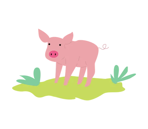 Porco  Ilustração
