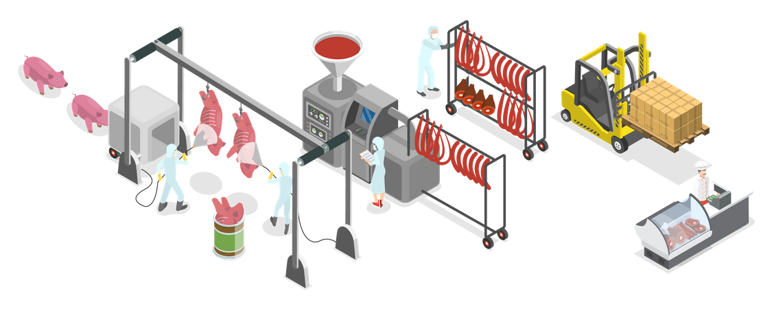 Pork Manufacturing  Illustration