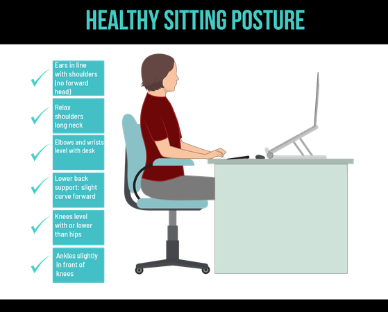 Posture assise saine  Illustration