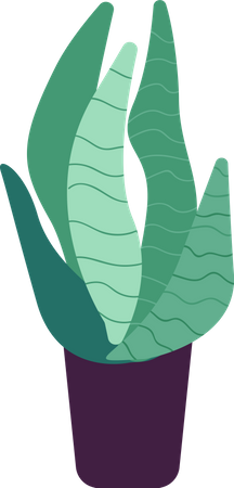 Potted tropical plant  Illustration
