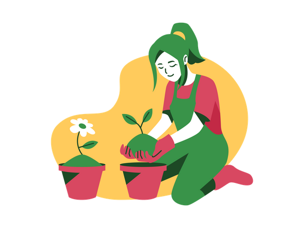 Potting plants  Illustration