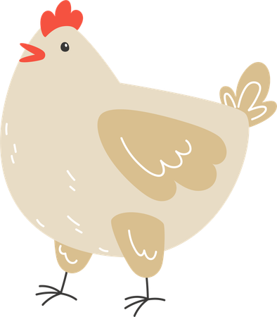 Pose debout de poulet  Illustration