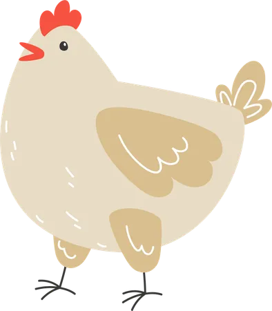 Pose debout de poulet  Illustration