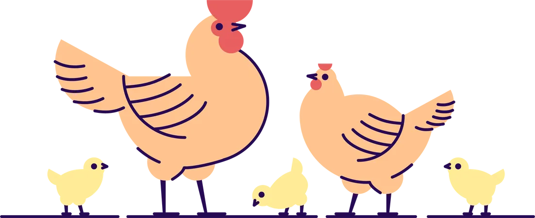 Famille de poulet  Illustration