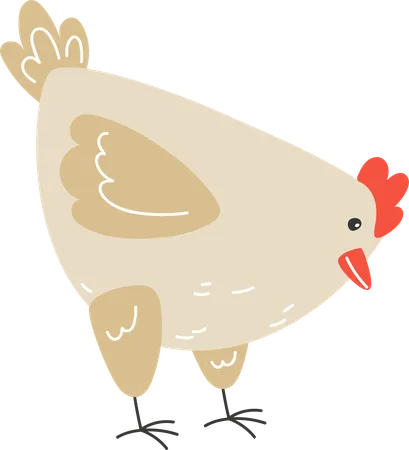 Poulet picorant les graines  Illustration