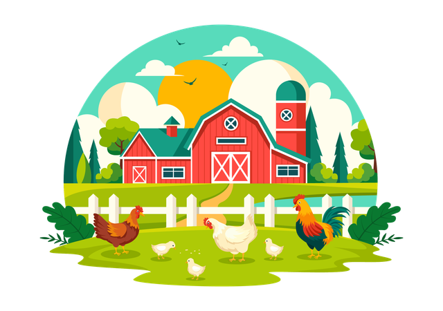 Poultry Farm  일러스트레이션
