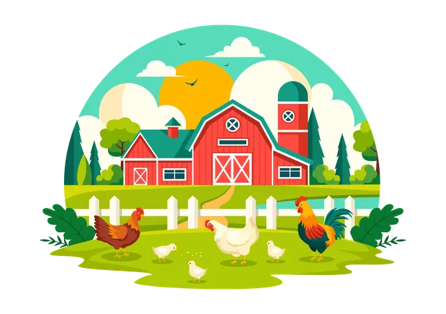 Poultry Farm  일러스트레이션