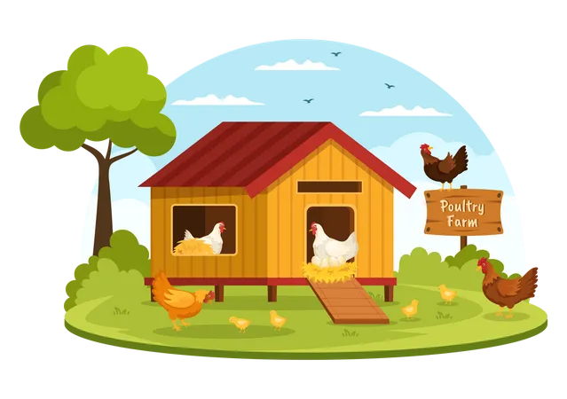 Poultry Farm  Illustration