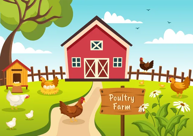 Poultry Farming With Farmer Cage Chicken And Egg Farm On Green Field Background View In Hand Drawn Cute Cartoon Template Illustration Illustration
