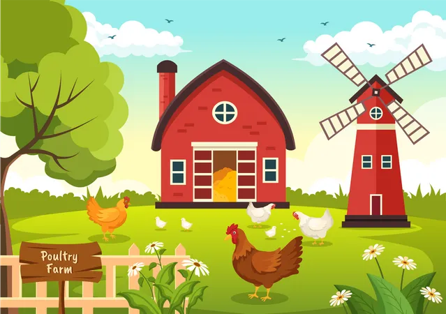 Poultry Farm Illustration