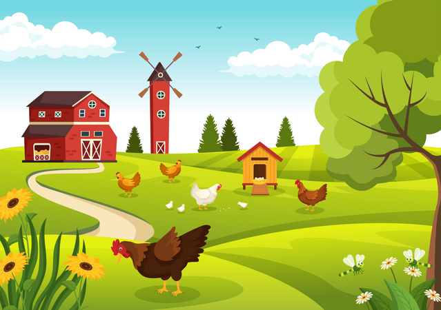 Poultry Farm Illustration
