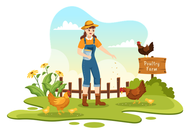 Poultry Farm  Illustration