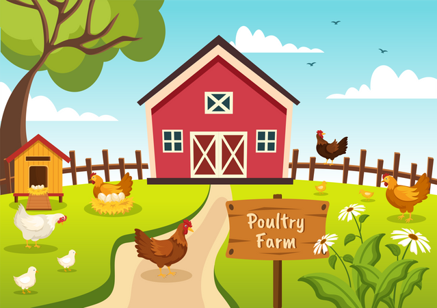 Poultry Farm  Illustration