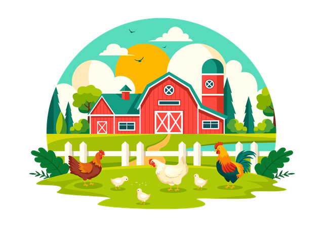 Poultry Farm  Illustration