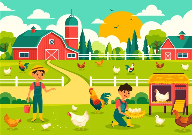 Poultry Farm  Illustration