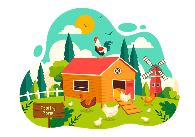 Poultry Farm  Illustration