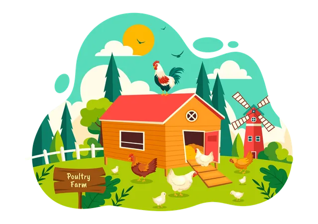 Poultry Farm  Illustration