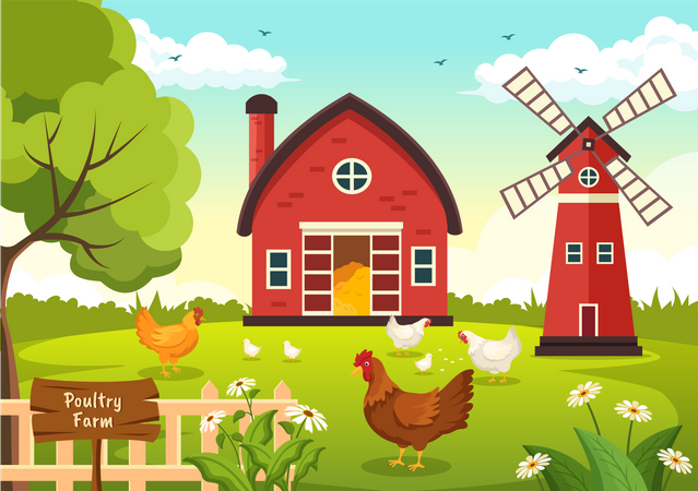 Poultry Farm  Illustration