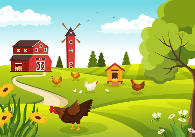 Poultry Farm  Illustration