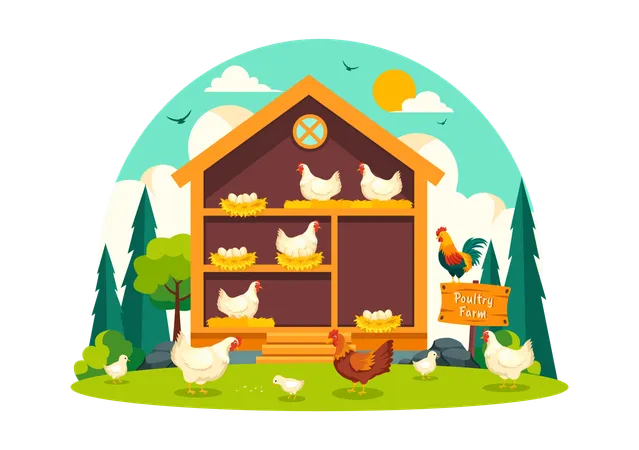 Poultry Farm  Illustration