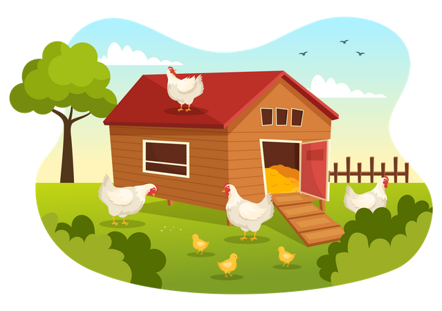 Poultry Farm  Illustration