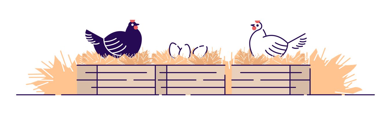 Poultry farming Illustration