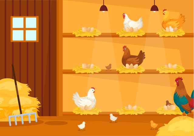 Poultry Farming Business  일러스트레이션