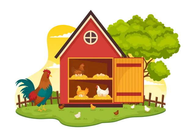 Poultry Farming Business  Illustration