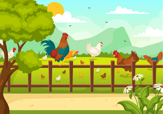Poultry Feed  Illustration