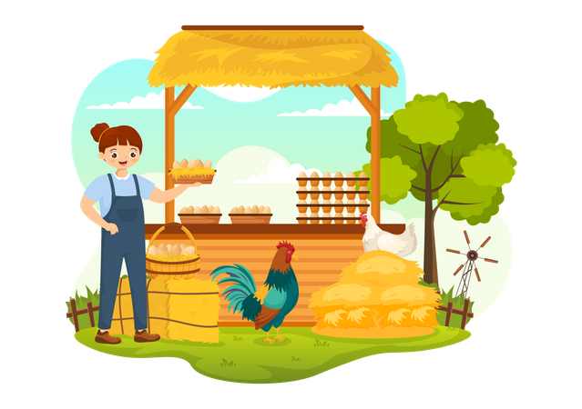 Poultry Management  일러스트레이션