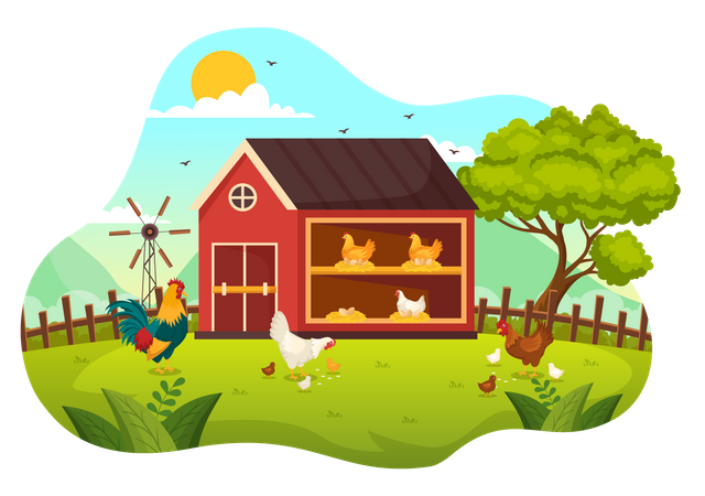 Poultry Management  Illustration